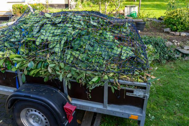 Best Estate Cleanout  in Winnetka, IL